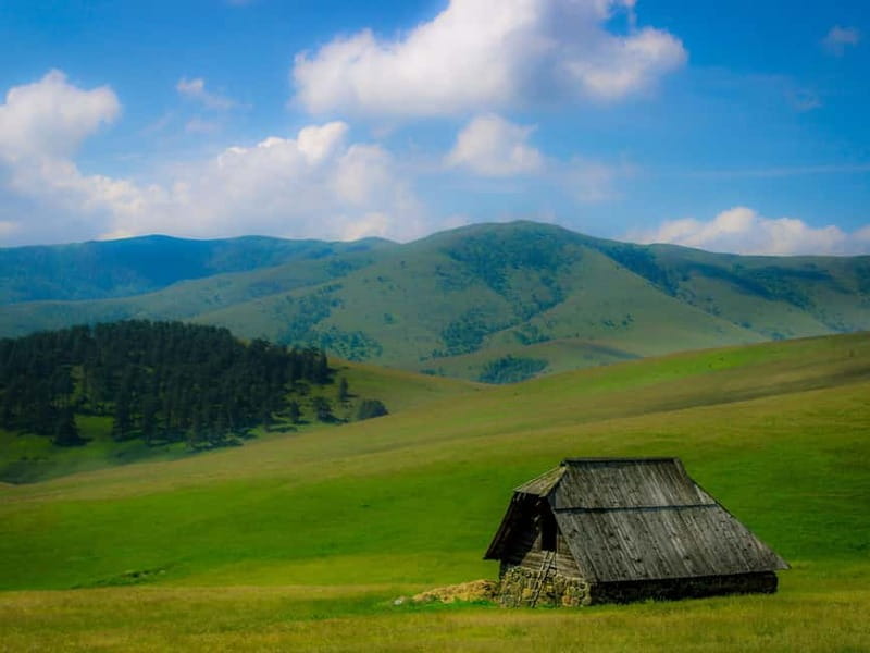 From Belgrade: Full-Day Guided Tour of Zlatibor Mountain - From Belgrade to the Gold Gondola: Starting the Adventure