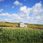 From Belgrade: Novi Sad & Fruska gora & winery and monastery - Departure from Belgrade with Comfortable Transport