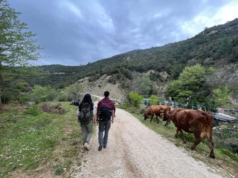 From Berat: Osumi Canyon and Bogova Waterfall tour. - Starting Point and Transport in Berat