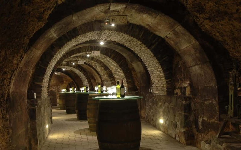 From Bilbao: La Rioja Wineries Day Trip with Wine Tastings - Exploring the Medieval Town of Laguardia