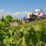 From Bilbao: Rioja Architecture and Wine Tour - Visiting the Iconic Marques de Riscal Winery by Frank Gehry