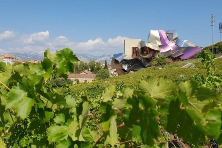 From Bilbao: Rioja Architecture and Wine Tour - Visiting the Iconic Marques de Riscal Winery by Frank Gehry