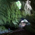 From Bled: Half-Day Pokljuka Gorge Trail Hike - How the Tour Connects Bled to Triglav National Park’s Hidden Corners