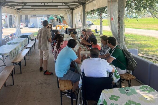 From Bologna: Parmesan Cheese & Balsamic Vinegar Tour+Lunch - Discovering Modena’s Traditional Balsamic Vinegar