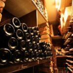 From Bologna: Wine Tasting and Vineyard Tour - Key Points