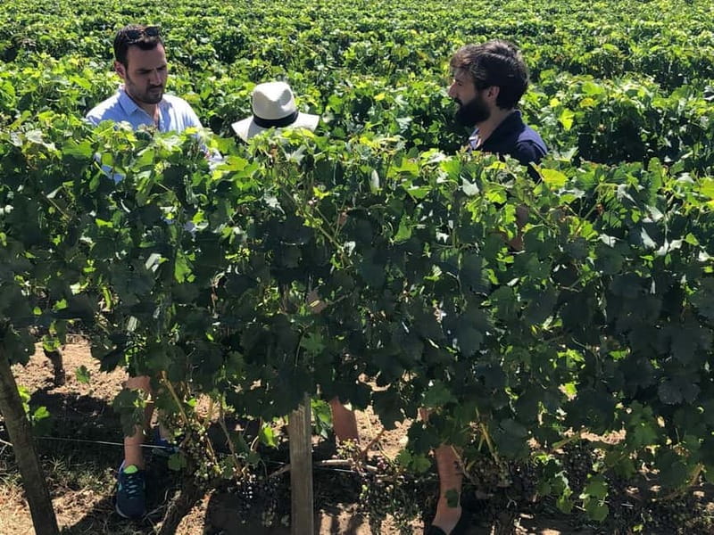 From Bordeaux: A day to visit the Medoc and Saint-Emilion - Starting from Bordeaux: Pick-Up at Quinconces Square