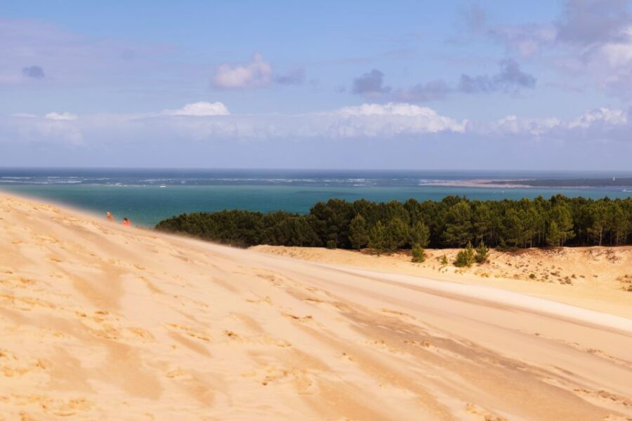 From Bordeaux: Arcachon Bay Full Day Tour and Oyster Lunch - Climbing the Dune du Pilat and Drinking Wine at the Top