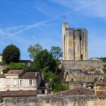 From Bordeaux: Saint-Émilion Half-Day Trip with Wine Tasting - Visiting the Organic Family Winery in Saint-Émilion