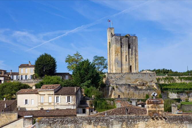 From Bordeaux: Saint-Émilion Half-Day Trip with Wine Tasting - Visiting the Organic Family Winery in Saint-Émilion