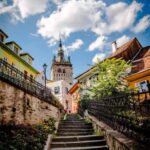 From Brasov: Bears Sanctuary and Sighisoara Day Tour - Visiting the Libearty Bear Sanctuary in Zrneti