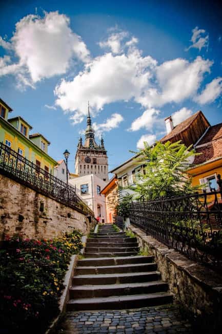 From Brasov: Bears Sanctuary and Sighisoara Day Tour - Visiting the Libearty Bear Sanctuary in Zrneti