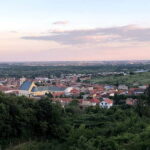 From Bratislava: Organic Wine Tasting in Svaty Jur - From Bratislava to Svaty Jur: Convenient Train Journey
