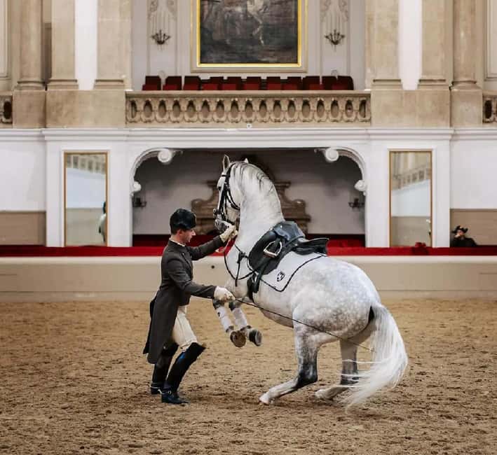 From Bratislava: Vienna Private City Tour & Schönbrunn - Convenient Transportation with Pickup and Drop-off in Bratislava