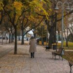 From Bucharest: 8-Day Romania and Serbia Tour - Starting in Bucharest and Moving Through Romania’s Historic Towns