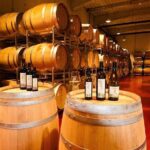 From Bucharest: Exclusive Wine Tasting Tour in Dealu Mare - Visiting Lacerta Winery: Modern Elegance with Tradition