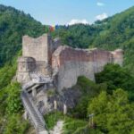 From Bucharest: Fgra Mountains and Bear Watching Tour - Starting Point at Montrek Sport in Bucharest