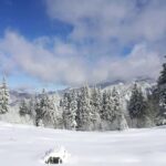From Bucharest: Snowmobile Tour in the Carpathian Mountains - The Starting Point and Flexible Schedule