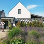 From Budapest: Half-Day Countryside Wine Tour with Meal - Visiting Boutique Wineries in Etyek