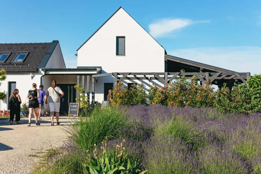 From Budapest: Half-Day Countryside Wine Tour with Meal - Visiting Boutique Wineries in Etyek