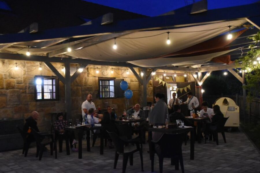 From Budapest: Half-day Monor wine tour with meal - Scenic Transfer from Budapest to Monor Wine Region