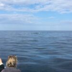 From Cala Gonone: naturalistic excursion on a RIB - Starting Point and Logistics at Cala Gonone Harbor