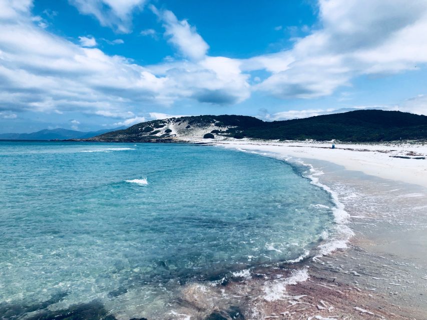 From Calvi: 4x4 Day Tour Mountain & Agriates' Saleccia Beach - Starting Out at Corsica’s Most Visited Panoramic Spot