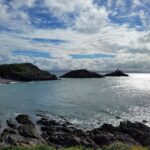 From Cardiff: The Wandering Bard's Swansea Bay Day Tour - Convenient Hotel Pickup and Small Group Setting