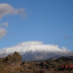From Catania: Mount Etna Half-Day Tour and Wine Experience - Lava Cave Exploration and Volcanic Features