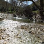 From Catania, Syracuse and Taormina: fly fishing experience - The Itinerary: From Pickup to the Tranquil Fishing Zones