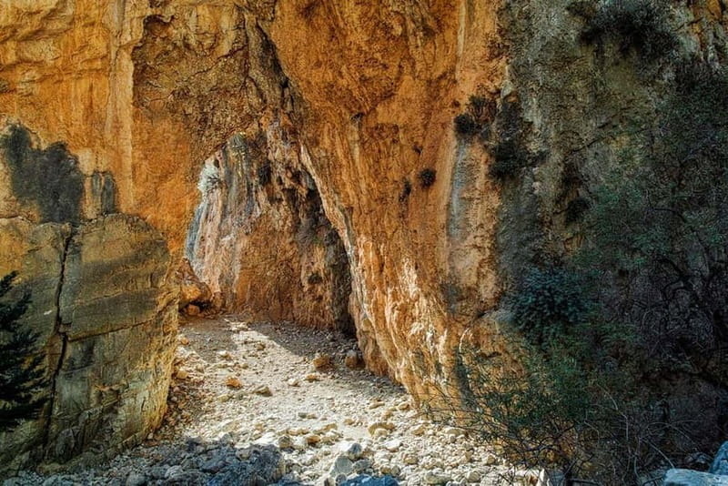 From Chania: Imbros Gorge and Sfakia Experience Hike & Swim - Discovering Imbros Gorge: Nature’s Art in Crete