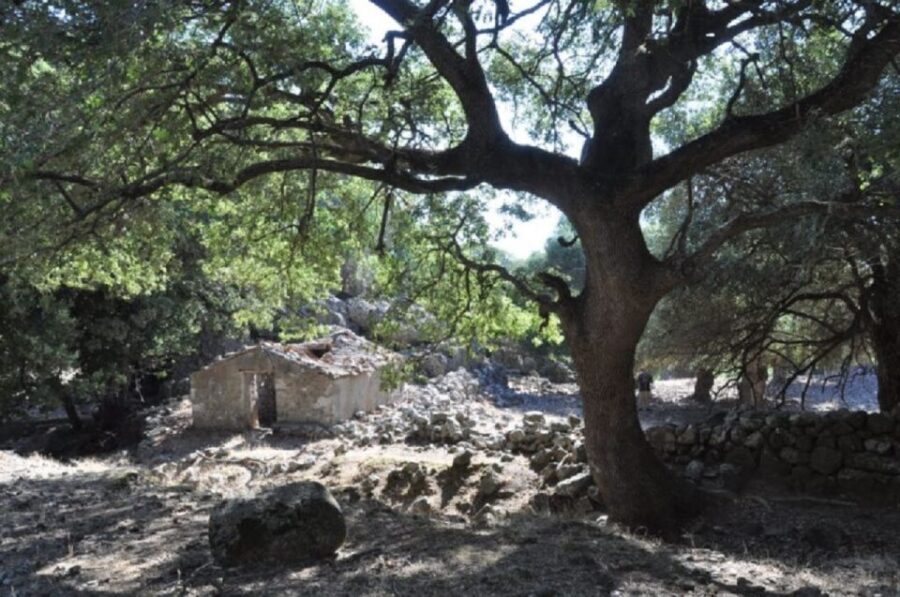 From Chania: Imbros Gorge Guided Hike and Village Visit - Hiking Imbros Gorge: A 9 km Scenic Path