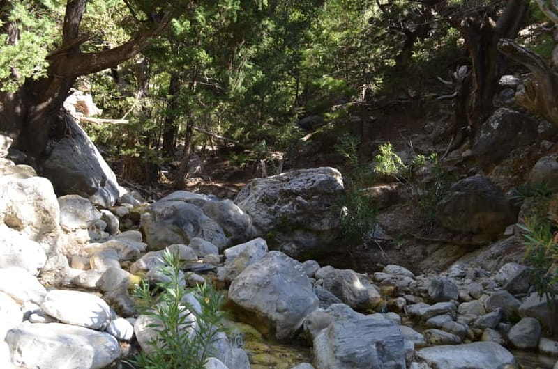 From Chania: Samaria Gorge Hike with Local Mountain Guide - Reaching Agia Roumeli and Leisure Time