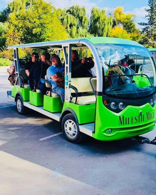 From Chisinau: visit Cricova and Milestii Mici Wineries - Exploring Milestii Mici: The Largest Wine Cellar in the World