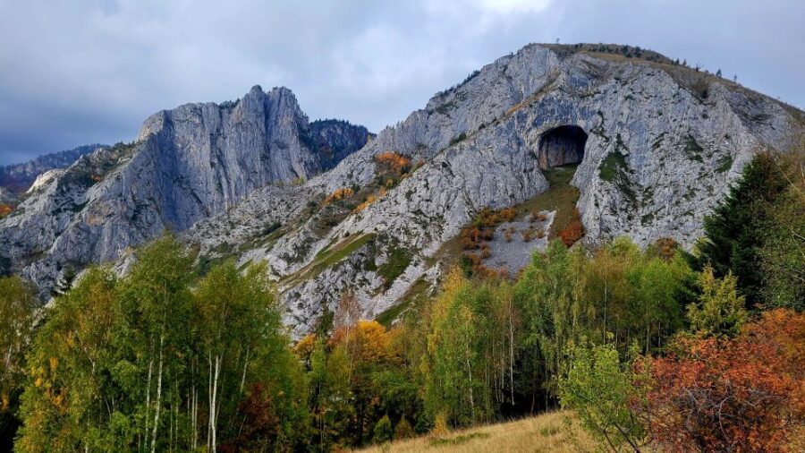 From Cluj-Napoca: Apuseni Mountains Hiking Guided Day Tour - Departure and Transport from Cluj-Napoca to Posaga de Sus