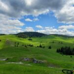 From Cluj-Napoca: Carpathian Mountains Guided Scenic Hike - Scenic Highlights of the Apuseni Mountains
