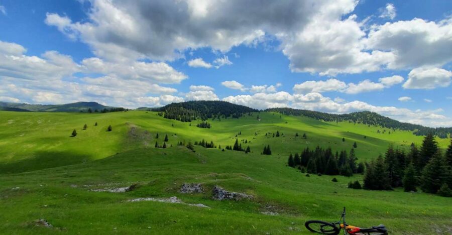 From Cluj-Napoca: Carpathian Mountains Guided Scenic Hike - Scenic Highlights of the Apuseni Mountains