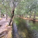 From Coimbra: 1-day Serra da Estrela tour - Visiting Serra da Estrela’s Mountain Viewpoints