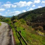 From Coimbra: Cycling on the Vouga Eco-Trail - Support and Safety Throughout the Route