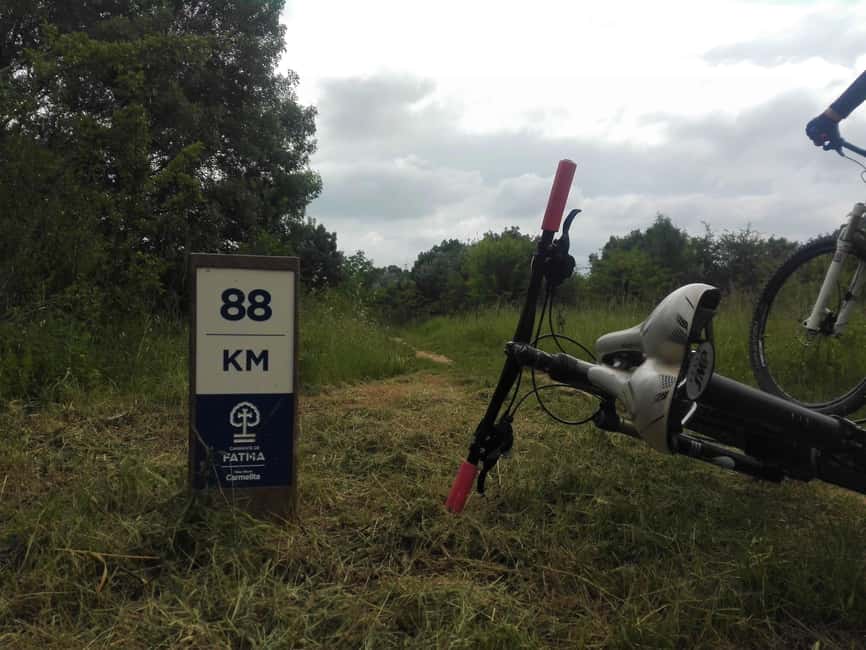 From Coimbra: E-bike tour of the Roman Ruins of Conímbriga - The E-bike Tour Equipment and Safety