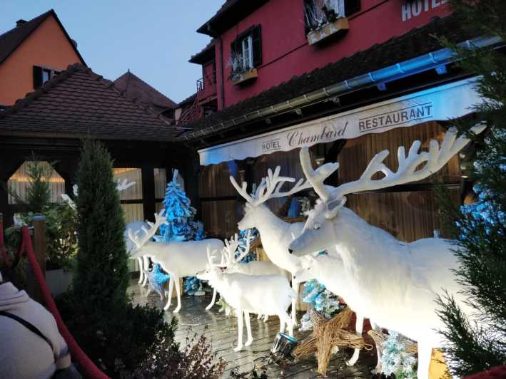 From Colmar: Christmas Markets Across 3 Borders - Discovering Neuf-Brisach’s Unique Fortified Layout