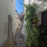 From Costa del Sol: Casares Private Tour - A Guided Walk Through Casares’s Historic Streets