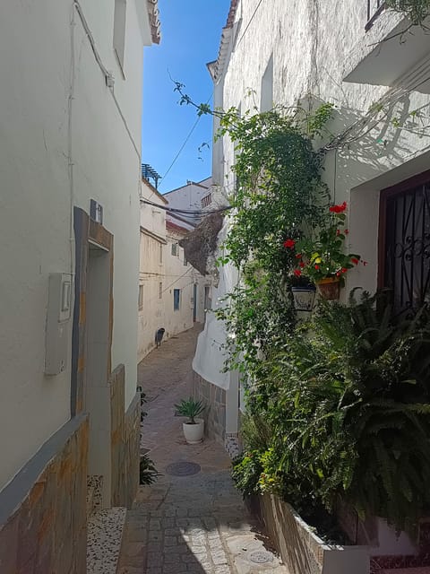 From Costa del Sol: Casares Private Tour - A Guided Walk Through Casares’s Historic Streets