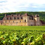 From Dijon: Côte de Nuits & Côte de Beaune Vineyards Tour - Starting in Dijon: A Scenic Drive Through Burgundy Countryside