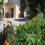 From Dubrovnik: Half-Day Wine Tasting and Cavtat City Tour - Exploring Winery Botaro: A Heritage of 600 Years