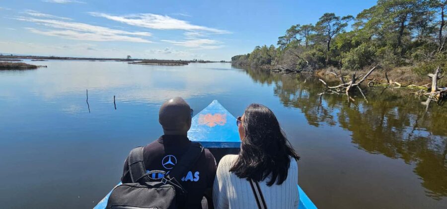 From Durrës: Divjakë-Karavasta National Park Day Trip - Visiting the Butterflies and Shells Museum