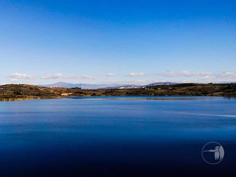 From Durres/Golem: Berat City & Belshi Lake Day Trip - Tasting Albanian Flavors at a Local Restaurant