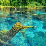 From Durrës or Golem: Ksamil, Saranda and Blue Eye Tour - Exploring Saranda: The Pearl of the Albanian Riviera