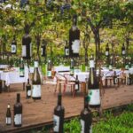 From Durrës: Wine Tasting at Alpeta Winery in Berat - Exploring Berat Old Town and Its Architectural Charm