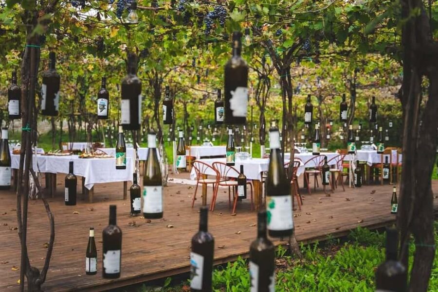 From Durrës: Wine Tasting at Alpeta Winery in Berat - Exploring Berat Old Town and Its Architectural Charm