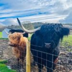 From Edinburgh: Loch Ness, Glencoe & The Highlands Day Trip - From the Old Town to the Highlands: Starting at Charlotte Square